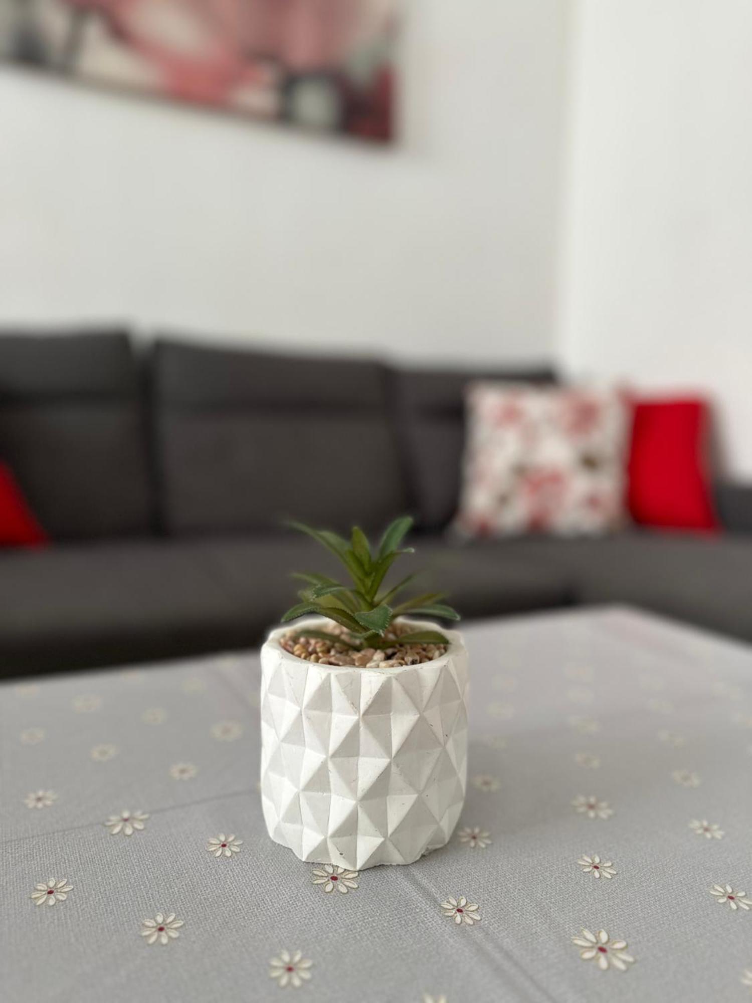 Modern And Bright 5 Bedroom Apartment Del Prado Gandía Eksteriør billede